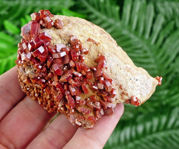 Red Vanadinite, Vanadinite Crystal, Vanadinite, Raw Crystal, Natural Mineral, Crystal Cluster, Healing Crystal, Mineral Specimen B529