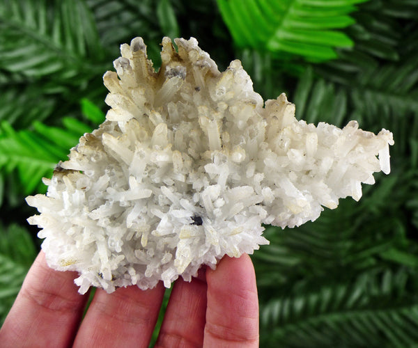 Rare Quartz Crystallization, Milky Quartz, Raw Crystal, Natural Mineral, Crystal Cluster, Healing Crystal, Mineral Specimen B291