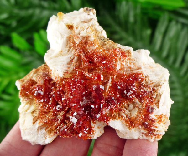 Red Vanadinite with Baryte, Red Crystal, Raw Crystal, Natural Mineral, Red Vanadinite from Morocco B306