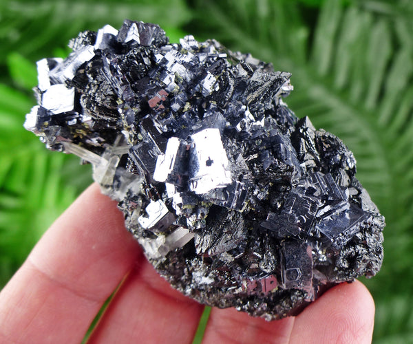 Skeletal Galena with Black Sphalerite and Quartz, Raw Crystal, Natural Mineral, Spirituality Crystals B310