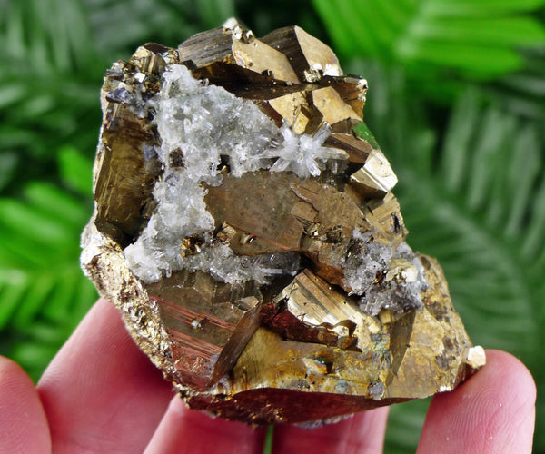 Pyrite with Quartz, Crystal, Raw Minerals, Natural Crystals, Pyrite Cubes, Fool's Gold, Crystal Cluster B434