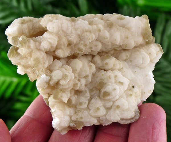 Rare Two Generation Calcite Crystals, Raw Crystal, Natural Mineral, Spirituality Crystals, Mineral Stone B438