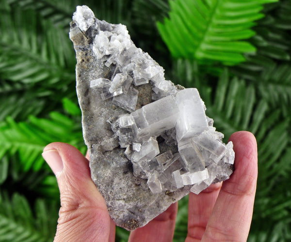 Baryte, Baryte Crystals, Baryte Minerals, Raw Crystal, Natural Mineral, Crystal Cluster B149