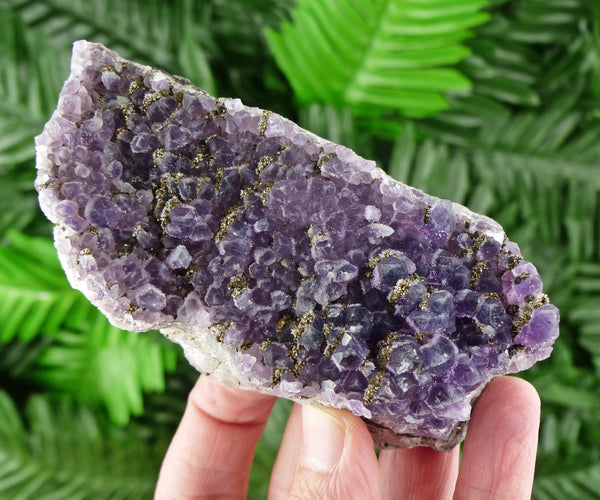 Amethyst with Pyrite, Purple Crystals, Mineral, Raw Crystals, Healing Crystals and Stones, Pyrite, Amethyst B145