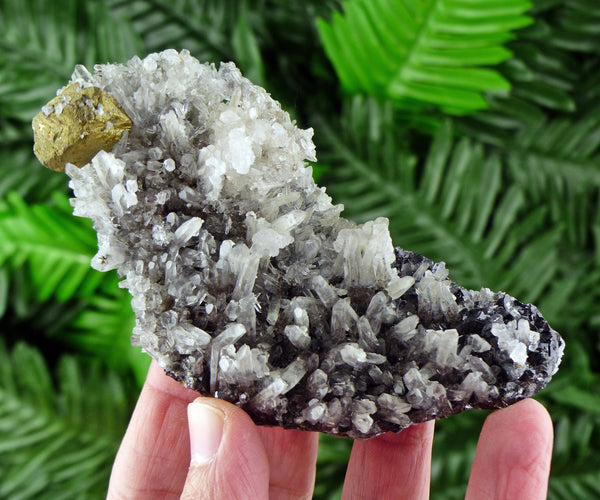 Amazing Quartz with Chalcopyrite, Natural Crystal, Raw Mineral, Crystal Cluster, Milky Quartz B148