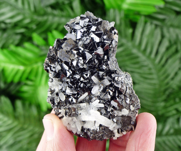 Sphalerite with Quartz, Raw Crystal, Mineral, Natural Crystal, Crystal Cluster, Quartz Crystal, Sphalerite B25