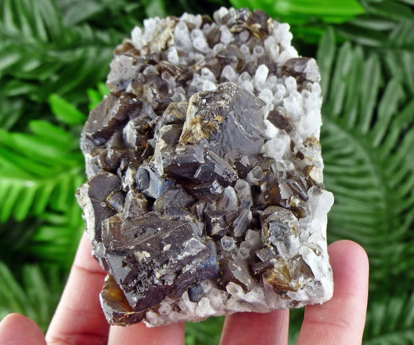 Big Gem Sphalerite var. Cleiophane on Quartz, Sphalerite, Raw Crystals, Natural Minerals, Crystal Cluster B868