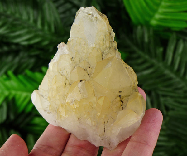 Milky Quartz with Iron Oxide, Quartz Crystal, Natural Mineral, Natural Crystal, Raw Crystals, Crystal Cluster, Quartz Cluster B927