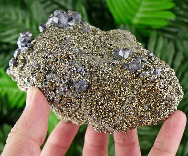 Big Pyrite Crystal with Galena, Raw Crystal, Mineral, Natural Crystal, Crystal Cluster, Fool's Gold B928