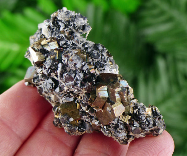 Pyrite with Sphalerite, Raw Minerals, Natural Crystals, Fool's Gold, Crystal Cluster, Sphalerite B930