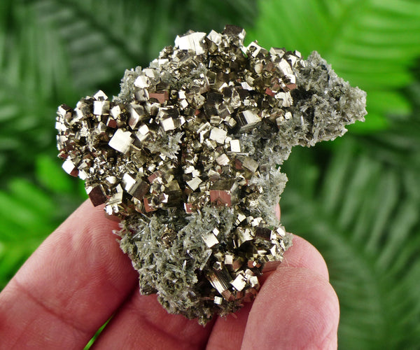 Pyrite with Quartz and Chlorite, Quartz Crystal, Pyrite Cube, Raw Crystal, Natural Mineral, Crystal Cluster, Mineral Specimen B388