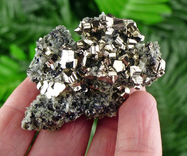 Pyrite with Quartz and Chlorite, Quartz Crystal, Pyrite Cube, Raw Crystal, Natural Mineral, Crystal Cluster, Mineral Specimen B391