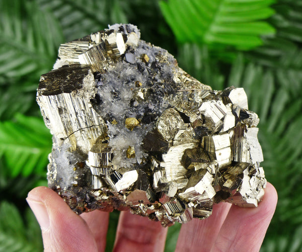 Pyrite with Quartz, Crystal, Raw Minerals, Natural Crystals, Pyrite Cubes, Fool's Gold, Crystal Cluster B396