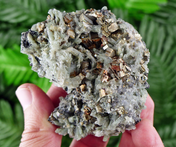 Rare Green Prasem Quartz with Pyrite Crystals, Minerals, Natural Crystals, Quartz, Chlorite, B688