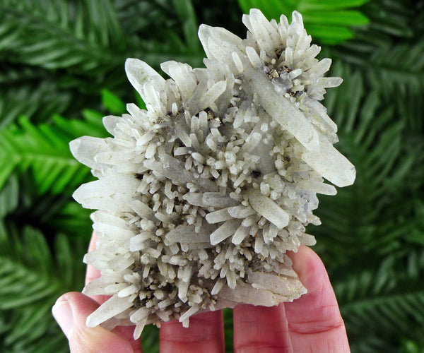 Double Sided Quartz with Pyrite Crystals, Raw Minerals, Natural Crystals, Pyrite Cubes, Fool's Gold, Crystal Cluster B660