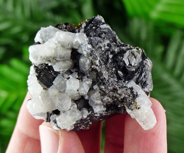 Calcite With Sphalerite, Crystal, Mineral, Natural Crystal, Raw Crystals B37