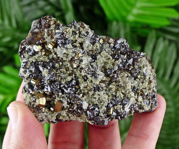 Sphalerite with Chlorite and Pyrite, Raw Minerals, Natural Crystals, Chlorite, Fool's Gold, Crystal Cluster, Sphalerite B38