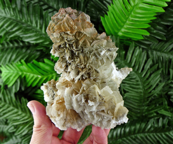 Rare Two Generation Calcite with Chlorite, Crystal, Mineral, Natural Crystal, Raw Crystals B118