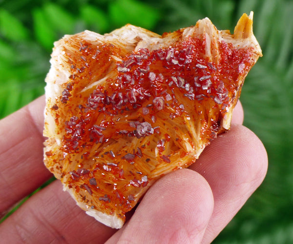 Red Vanadinite with Baryte, Red Crystal, Raw Crystal, Natural Mineral, Red Vanadinite from Morocco B1007