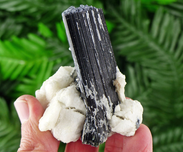 Natural Black Tourmaline with Feldspar, Tourmaline Crystal, Natural Crystal, Natural Tourmaline, Mineral, Black Tourmaline