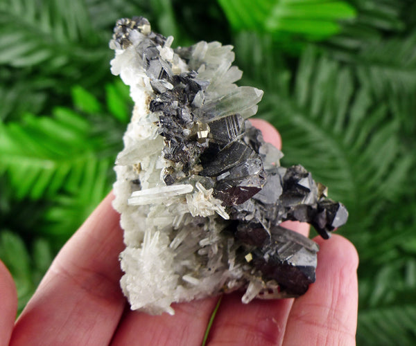 Rare Quartz with Chlorite and Sphalerite, Minerals, Natural Crystals, Quartz, Chlorite, Green Quartz, Sphalerite B1058