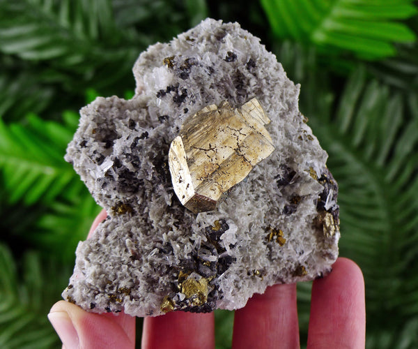 Aesthetic Big Pyrite on Quartz with Sphalerite and Pyrite, Raw Crystal, Natural Mineral, Crystal Cluster B671