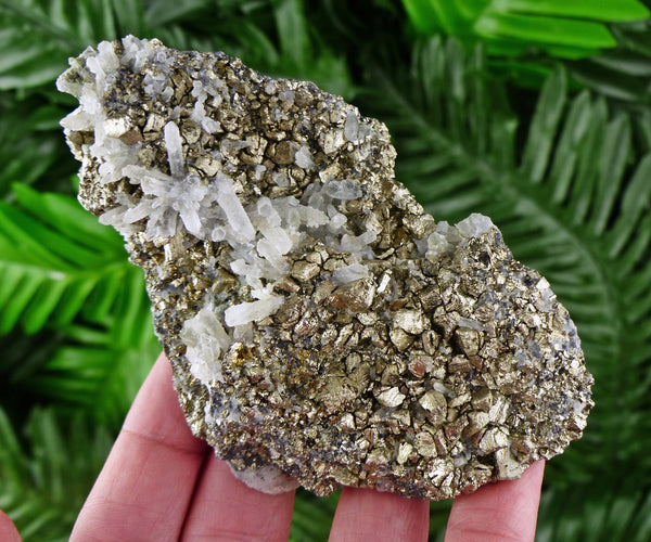 Pyrite with Quartz, Crystal, Raw Minerals, Natural Crystals, Pyrite Cubes, Fool's Gold, Crystal Cluster B311