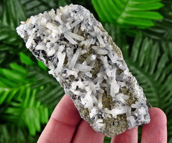 Rare Quartz with Chlorite, Raw Crystal, Natural Mineral, Natural Crystal, Quartz Cluster, Chlorite B435