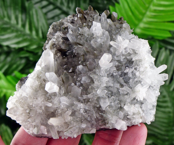 Rare Quartz with Chlorite, Raw Crystal, Natural Mineral, Natural Crystal, Quartz Cluster, Chlorite B446