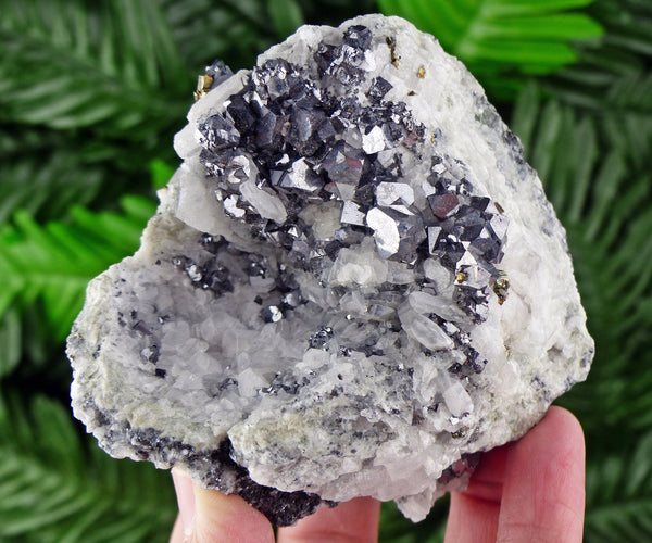 Amazing Shiny Galena with Calcite and Pyrite, Raw Crystals, Mineral, Natural Crystal, Crystals, Minerals, Pyrite B770