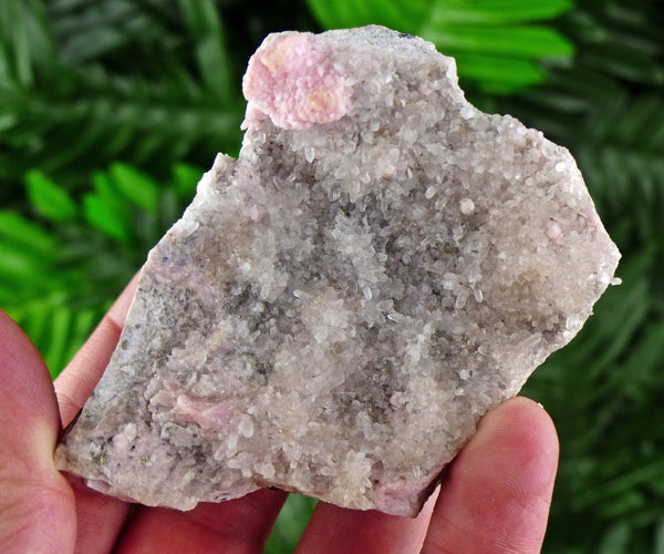 Quartz with Rhodochrosite, Rhodochrosite, Raw Crystal, Natural Mineral, Crystal Cluster, Healing Crystal, Mineral Specimen B1549