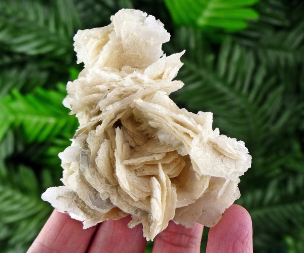 Rare Calcite Crystallization, Raw Mineral, Natural Crystal, Raw Crystals, Calcite Crystal B638