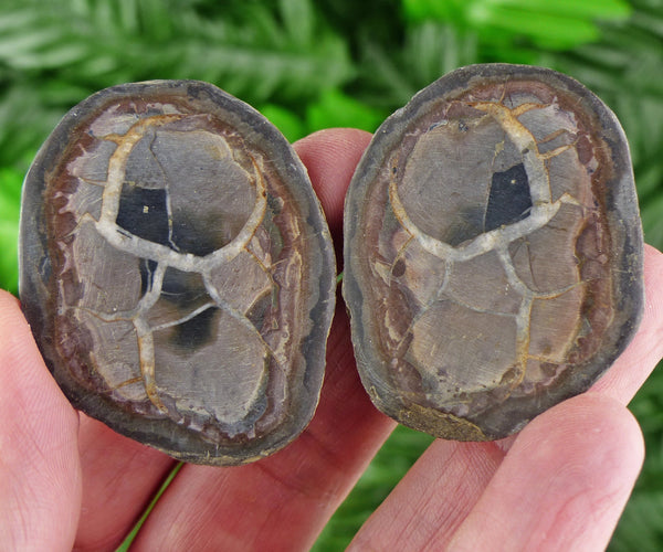 Dragonstones Pair, Septarian Nodule Geode, Septaria, Dragonstone, Aragonite, Septarian Nodules, Dragon Stone Healing Stone, Limestone B642