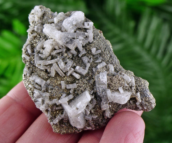 Baryte with Pyrite, Raw Crystal, Natural Mineral, Spirituality Crystal, Mineral Specimen B1577