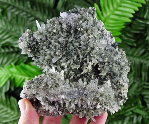 Rare Quartz with Chlorite, Raw Crystal, Natural Mineral, Spirituality Crystal, Mineral Specimen, Quartz Cluster B1583