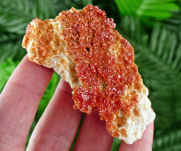 Red Vanadinite with Baryte, Red Crystal, Raw Crystal, Natural Mineral, Red Vanadinite from Morocco B613