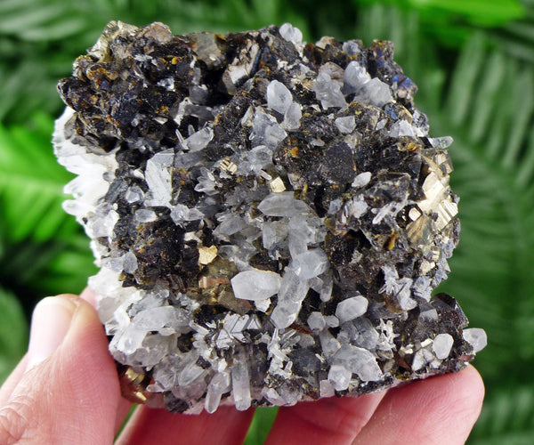 Quartz with Sphalerite and Pyrite, Raw Minerals, Natural Crystals, Chlorite, Fool's Gold, Crystal Cluster, Sphalerite B618