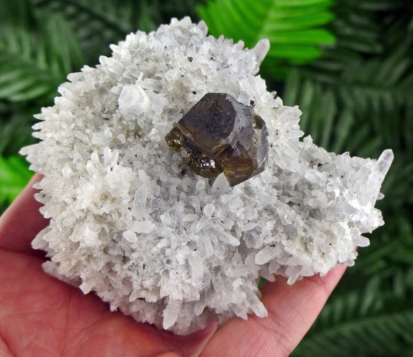 Quartz with Gem Sphalerite var. Cleiophane, Raw Mineral, Natural Crystal, Raw Crystals, Quartz Crystal, Gem Sphalerite B608