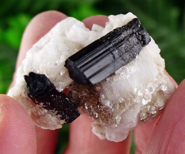 Black Tourmaline with Feldspar, Tourmaline Crystal, Natural Crystal, Natural Tourmaline, Mineral, Black Tourmaline B1598