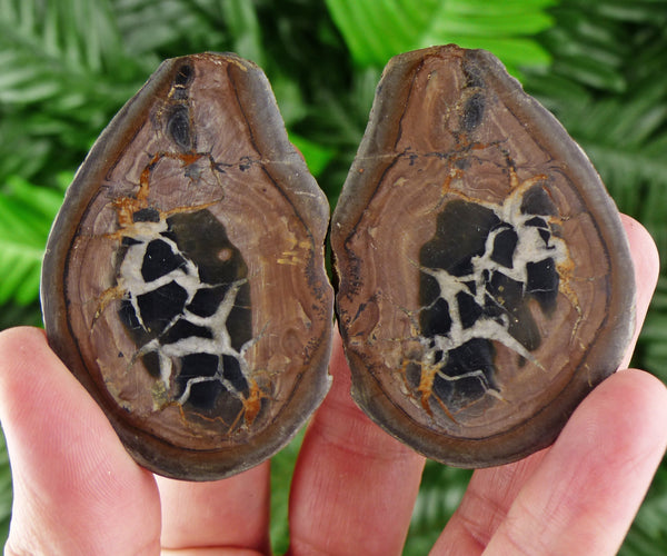 Dragonstones Pair, Septarian Nodule Geode, Septaria, Dragonstone, Aragonite, Septarian Nodules, Dragon Stone Healing Stone, Limestone B1279