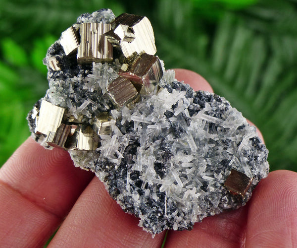 Quartz with Pyrite, Quartz Crystal, Pyrite Cube, Raw Crystal, Natural Mineral, Crystal Cluster, Healing Crystal, Mineral Specimen B1283