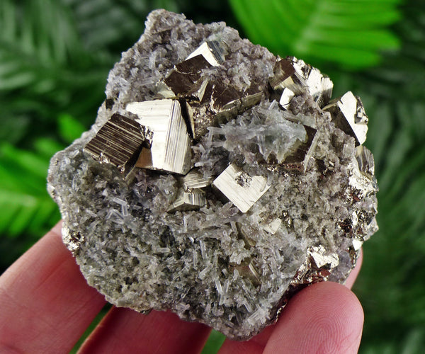 Quartz with Pyrite, Quartz Crystal, Pyrite Cube, Raw Crystal, Natural Mineral, Crystal Cluster, Healing Crystal, Mineral Specimen B1284