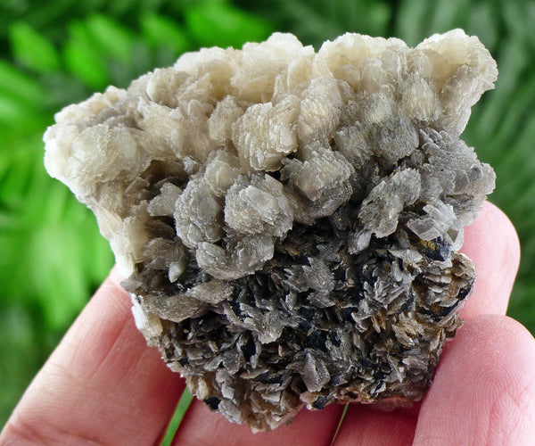 Amazing Calcite with Chlorite, Raw Crystal, Natural Mineral, Spirituality Crystals B2116