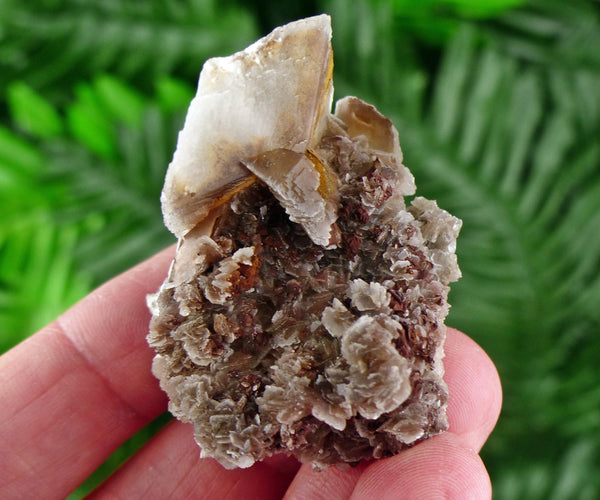 Brown Calcite, Raw Mineral, Natural Crystal, Raw Crystals, Calcite Crystal B1395