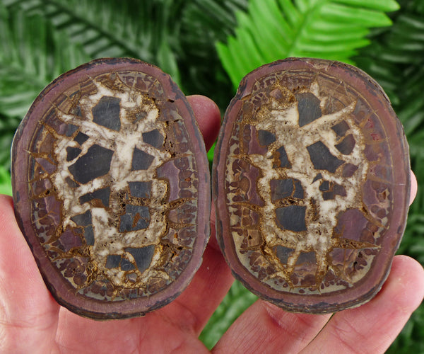 Septarian Nodule Geode, Big Septaria, Dragonstone, Aragonite, Septarian Nodules, Dragon Stone Healing Stone, Limestone B1399