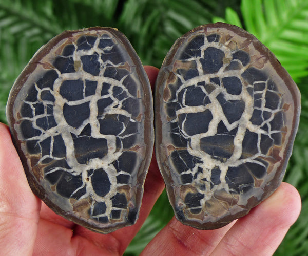 Septarian Nodule Geode, Big Septaria, Dragonstone, Aragonite, Septarian Nodules, Dragon Stone Healing Stone, Limestone B1435