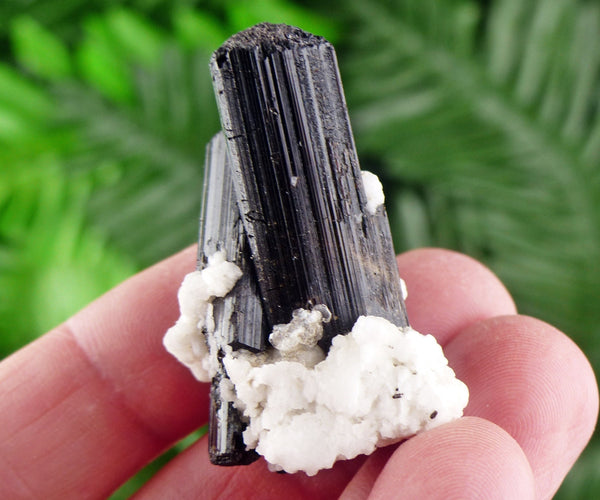 Black Tourmaline with Feldspar, Tourmaline Crystal, Natural Crystal, Natural Tourmaline, Mineral, Black Tourmaline B1262