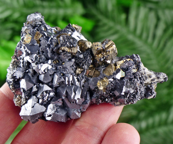 Galena with Pyrite, Raw Crystal, Natural Mineral, Spirituality Crystal, Mineral Specimen B1811