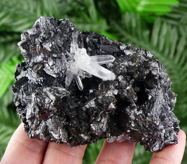 Amazing Sphalerite Tetrahedrons with Quartz, Raw Crystal, Natural Mineral, Spirituality Crystal, Mineral Specimen B1250