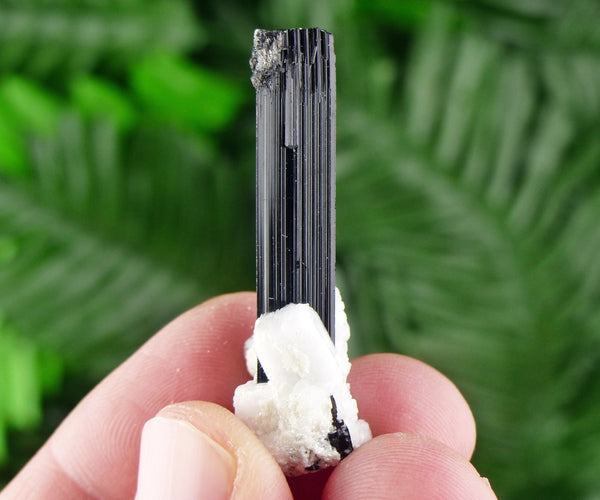 Black Tourmaline with Feldspar, Tourmaline Crystal, Natural Crystal, Natural Tourmaline, Mineral, Black Tourmaline B1355